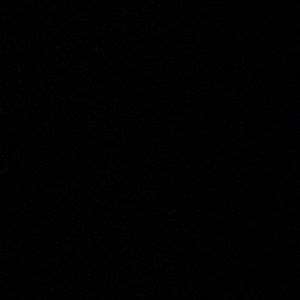 Meet your Posher, Shaun